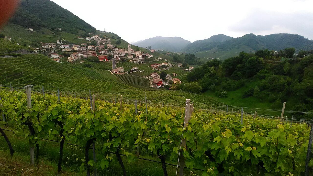 04/05/2017 - Strada del Prosecco e visita guidata presso la Cantina Ca’ Salina di Valdobbiadene (storia del Prosecco e degustazione dei vini)