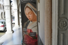 03/05/2017 - visita mostra “Bellini e i Belliniani” a Palazzo Sarcinelli