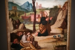 03/05/2017 - visita mostra “Bellini e i Belliniani” a Palazzo Sarcinelli