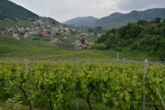 04/05/2017 - Strada del Prosecco e visita guidata presso la Cantina Ca’ Salina di Valdobbiadene (storia del Prosecco e degustazione dei vini)